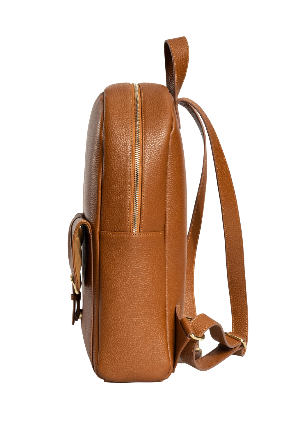 #color_brown
