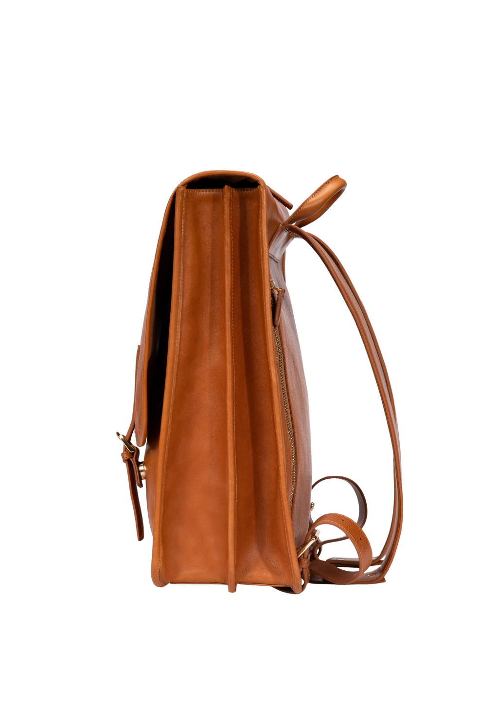 #color_brown